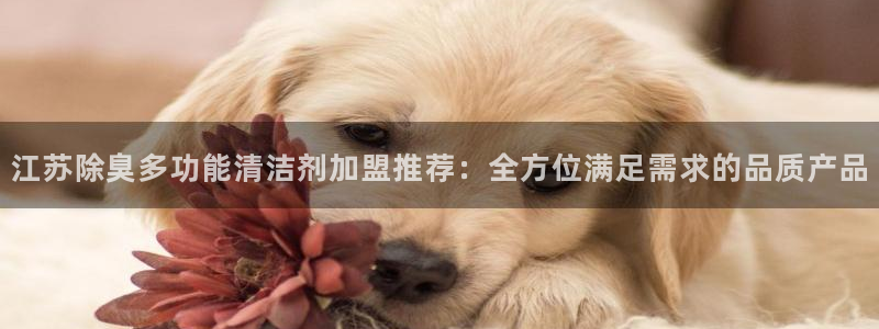 凯时是AG优质运营商