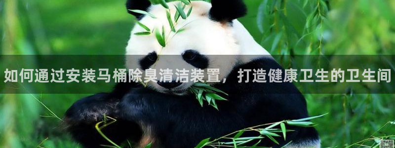 尊龙-人生就是博!：如何通过安装马桶除臭清洁装置，打造健