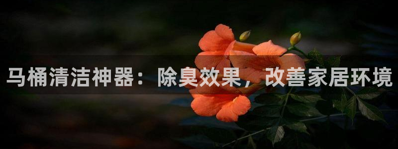 尊龙凯时取款一直支付中：马桶清洁神器：除臭效果，改善家居