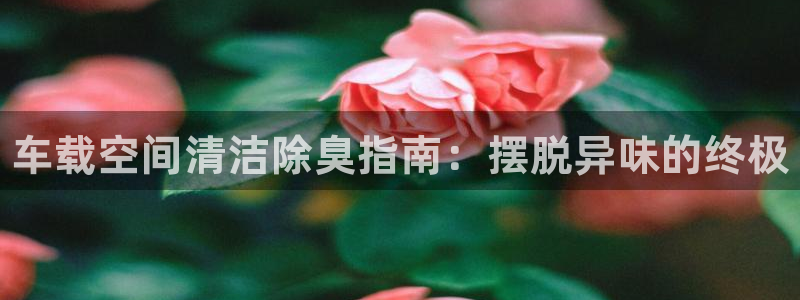K66凯时国际平台官网