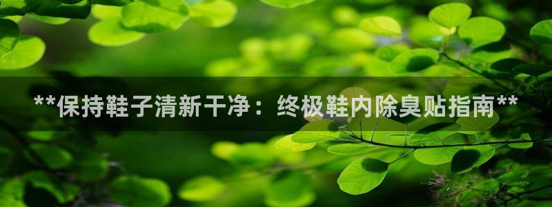 尊龙凯时ag旗舰厅官方网站：**保持鞋子清新干净：终极鞋内除