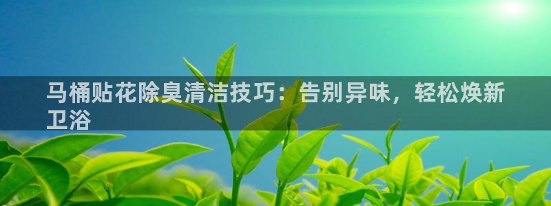 KB88凯时官网：马桶贴花除臭清洁技巧：告别异味，轻松焕
