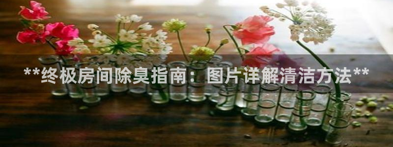 尊龙凯时发展历程：*