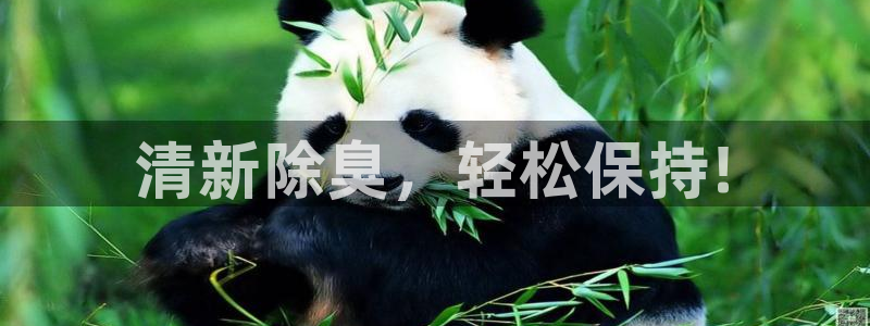 尊龙游戏app官方网站