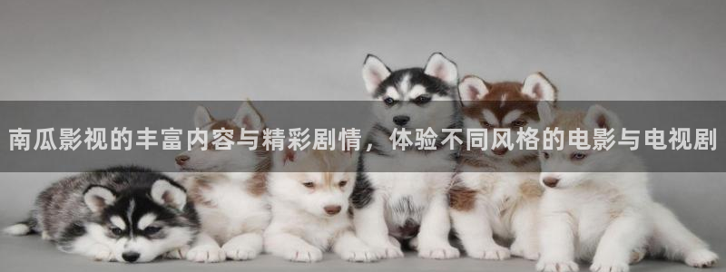 神秘电影国产影院