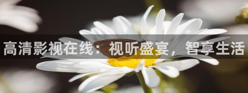 神秘电影国产影院