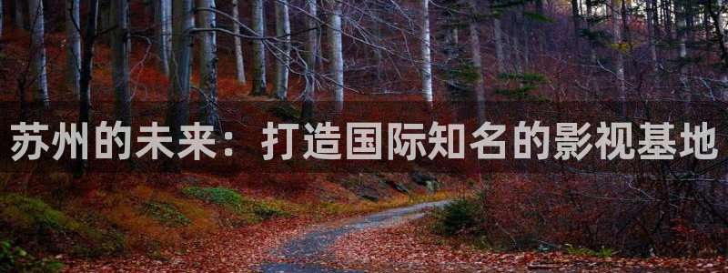 国产神秘影院：苏州的未来：打造国际知名的影视基地
