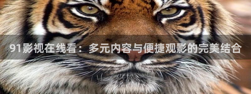 神秘博士高清免费观看