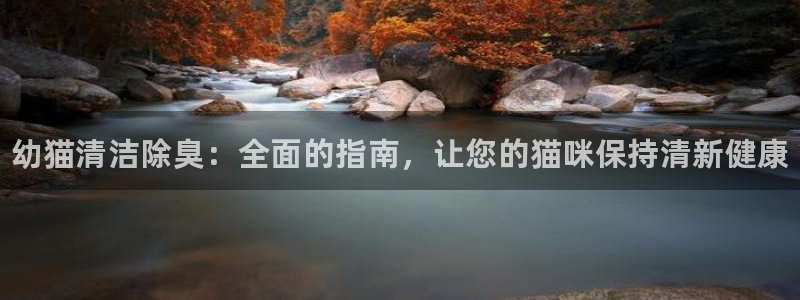 尊龙人生就是博登录：幼猫清洁除臭：全面的指南，让您的猫咪