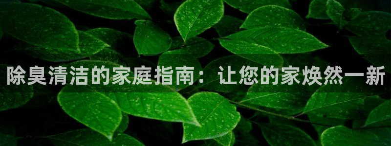 尊龙d88手机版下载：除臭清洁的家庭指南：让您的家焕然一