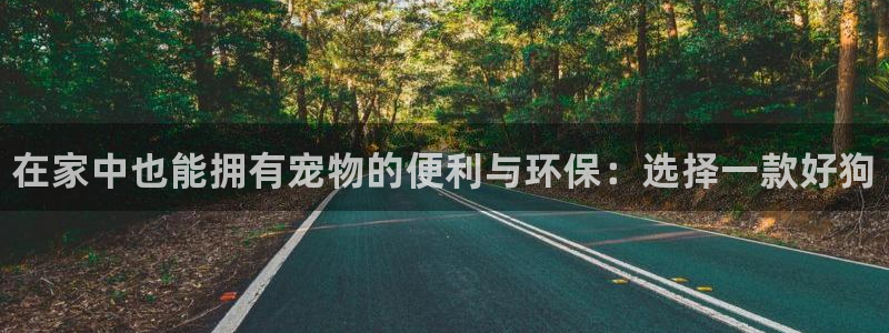 尊龙凯时登入首页