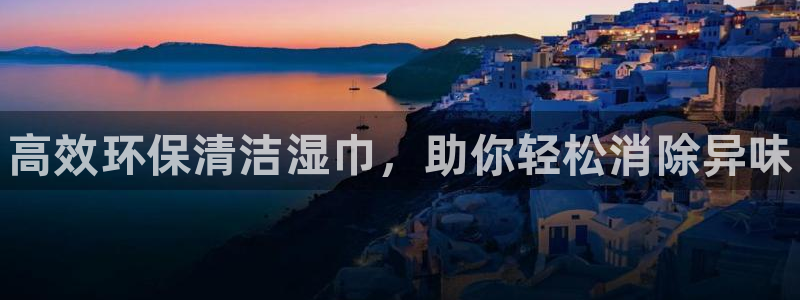 尊龙d88平台版下载：高效环保清洁湿巾，助你轻松消除异味